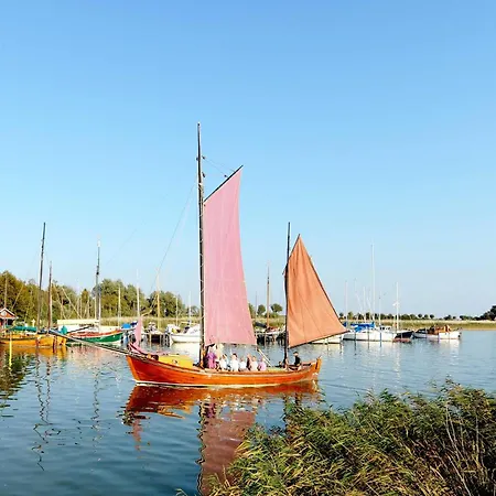 Kleine Strandmuschel Mit Suedbalkon Wustrow (Fischland)