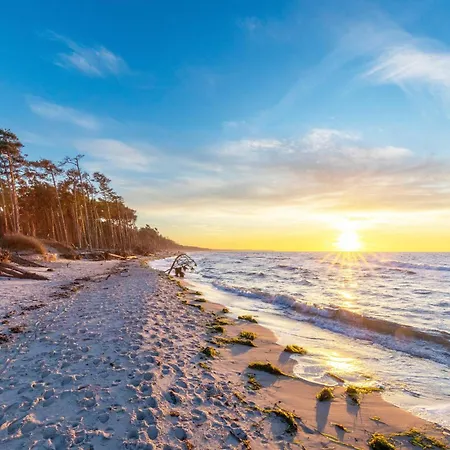 Kleine Strandmuschel Mit Suedbalkon * Wustrow (Fischland)
