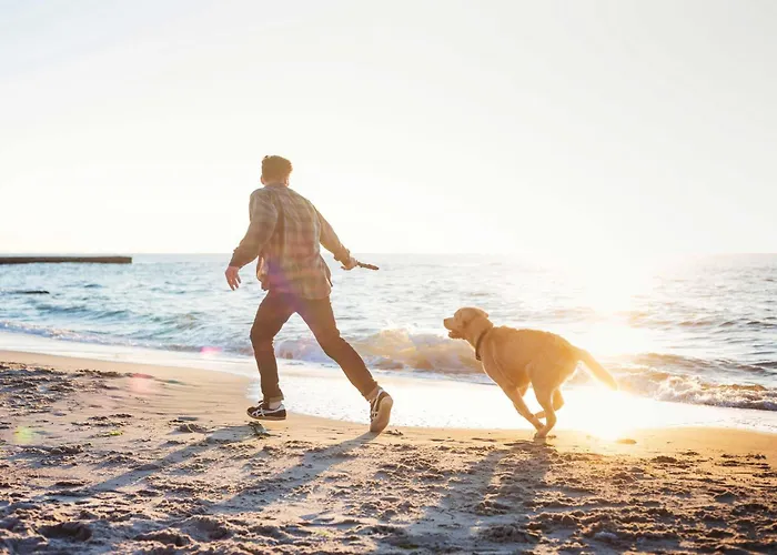 Kleine Strandmuschel Mit Suedbalkon